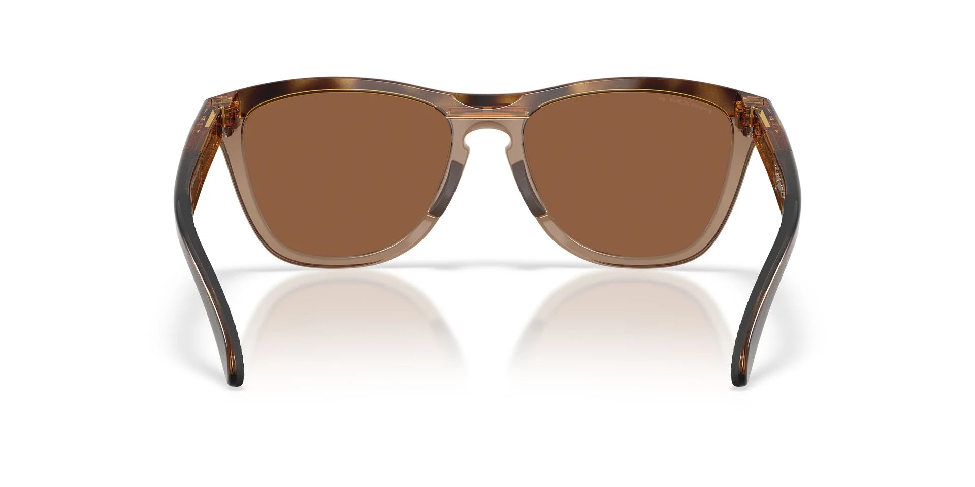 Oakley Frogskins Range XL Brown Tort/Brown Smoke Prizm Tungsten Polar Sunglasses