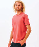Rip Curl Plain Wash Mens Tee - Dusty Mushroom