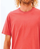 Rip Curl Plain Wash Mens Tee - Dusty Mushroom