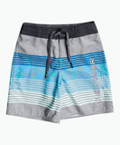 Quiksilver Boys Pointbreak 12