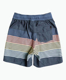 Quiksilver Boys Pointbreak 12" Beach Shorts - Navy Blazer