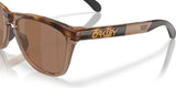 Oakley Frogskins Range XL Brown Tort/Brown Smoke Prizm Tungsten Polar Sunglasses