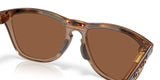 Oakley Frogskins Range XL Brown Tort/Brown Smoke Prizm Tungsten Polar Sunglasses