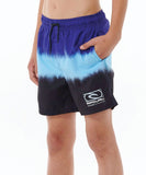 Rip Curl Boys Dip Volley Boardshorts - Blue/Navy