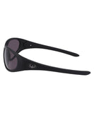 Dragon The Box 2.0 Matte Black W/ LumaLens Smoke Polar Sunglasses