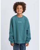 Child wearing a teal sweatshirt with 'St. Gulliath' logo on a light gray background