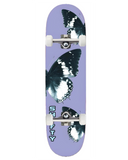 Shifty Wings Complete 7.5 inch Mini Skateboard setup displayed at Point Break Cambridge, featuring pre-applied black grip tape.