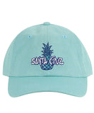 Santa Cruz Tropic Cap - Light Green