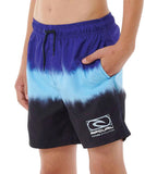 Rip Curl Evolution Dip Volley Boys Board Shorts - Wild Berry