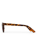 CHPO Brand Amy Sunglasses in Turtle Brown tortoiseshell side profile view highlighting the sleek temple arms with signature printed script brand logo detailing, sold by Point Break Cambridge local family surf shop at 63 Duke street.