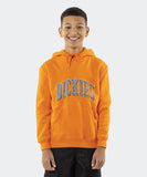 Dickies Longview Pullover Hoody - Orange