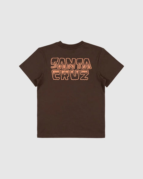 Santa Cruz Multi Cruz Stack Centre Boys Tee - Brown – Point Break NZ ...