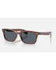 Ray-Ban Brunel Havana Green PT sunglasses front view showing the stylish tortoiseshell acetate frame profile protective green lenses and clean classic bridge construction layout, sold by Point Break Cambridge local family surf shop at 63 Duke street.