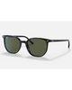 Ray-Ban Elliot Sunglasses in Polished Black front view showing the sleek low-profile minimalist frame layout fine keyhole bridge design and premium optical clarity G-15 Green mineral glass lenses, sold by Point Break Cambridge local family surf shop at 63 Duke street.