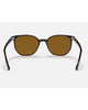 Ray-Ban Elliot Sunglasses in Polished Havana tortoiseshell back view showing the smooth interior glossy tortoiseshell acetate frame architecture contour lines and premium structural metal hinge layouts, sold by Point Break Cambridge local family surf shop at 63 Duke street.