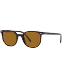 Ray-Ban Elliot Sunglasses in Polished Havana tortoiseshell front view showing the sleek low-profile minimalist frame layout fine keyhole bridge design and premium optical clarity Brown mineral glass lenses, sold by Point Break Cambridge local family surf shop at 63 Duke street.