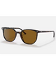 Ray-Ban Elliot Sunglasses in Polished Havana tortoiseshell front view showing the sleek low-profile minimalist frame layout fine keyhole bridge design and premium optical clarity Brown mineral glass lenses, sold by Point Break Cambridge local family surf shop at 63 Duke street.