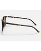 Ray-Ban Elliot Sunglasses in Polished Havana tortoiseshell side profile view highlighting the comfortable slim temple arm taper and iconic classic script raised silver Ray-Ban brand logo detailing, sold by Point Break Cambridge local family surf shop at 63 Duke street.