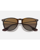 Ray-Ban Erika Classic Sunglasses in Polished Light Havana tortoiseshell front view showing the elegant oversized round front chassis sleek keyhole bridge line and premium glare-reducing Brown Gradient Polarized lenses, sold by Point Break Cambridge local family surf shop at 63 Duke street.