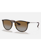 Ray-Ban Erika Classic Sunglasses in Polished Light Havana tortoiseshell front view showing the elegant oversized round front chassis sleek keyhole bridge line and premium glare-reducing Brown Gradient Polarized lenses, sold by Point Break Cambridge local family surf shop at 63 Duke street.