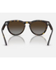 Ray-Ban Sunglasses in Polished Havana tortoiseshell back view showing the smooth interior glossy tortoiseshell acetate frame architecture contour lines and premium metallic hinge structures, sold by Point Break Cambridge local family surf shop at 63 Duke street.