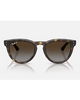 Ray-Ban Sunglasses in Polished Havana tortoiseshell front view showing the elegant acetate frame layout metallic rivets and premium glare-reducing Polarized Light Grey Gradient Brown lenses, sold by Point Break Cambridge local family surf shop at 63 Duke street.