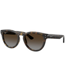 Ray-Ban Polished Havana / Polarized Light Grey Gradient Brown