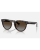 Ray-Ban Sunglasses in Polished Havana tortoiseshell front view showing the elegant acetate frame layout metallic rivets and premium glare-reducing Polarized Light Grey Gradient Brown lenses, sold by Point Break Cambridge local family surf shop at 63 Duke street.