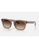 Ray-Ban Sunglasses in Polished Transparent Light Brown crystal front view showing the elegant translucent acetate frame layout metallic rivets and premium Light Brown Gradient Dark Brown lenses, sold by Point Break Cambridge local family surf shop at 63 Duke street.