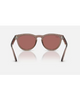 Ray-Ban Transparent Light Brown Dark Violet PT sunglasses back view highlighting the interior frame alignment smooth inner temple arm curves and precise premium hinge integration hardware lines, sold by Point Break Cambridge local family surf shop at 63 Duke street.