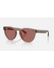 Ray-Ban Transparent Light Brown Dark Violet PT sunglasses front view showing the stylish crystal-clear acetate frame profile protective dark violet lenses and clean classic bridge construction layout, sold by Point Break Cambridge local family surf shop at 63 Duke street.