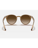 Ray-Ban Turtle Dove Sunglasses in Polished Light Brown back view showing the smooth interior glossy light brown acetate frame architecture contour lines and premium metallic hinge structures, sold by Point Break Cambridge local family surf shop at 63 Duke street.