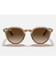 Ray-Ban Turtle Dove Sunglasses in Polished Light Brown front view showing the elegant acetate lifestyle frame layout smooth bridge architecture and premium Brown Gradient Dark Brown lenses, sold by Point Break Cambridge local family surf shop at 63 Duke street.