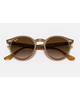 Ray-Ban Turtle Dove Sunglasses in Polished Light Brown front view showing the elegant acetate lifestyle frame layout smooth bridge architecture and premium Brown Gradient Dark Brown lenses, sold by Point Break Cambridge local family surf shop at 63 Duke street.