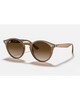 Ray-Ban Turtle Dove Sunglasses in Polished Light Brown front view showing the elegant acetate lifestyle frame layout smooth bridge architecture and premium Brown Gradient Dark Brown lenses, sold by Point Break Cambridge local family surf shop at 63 Duke street.