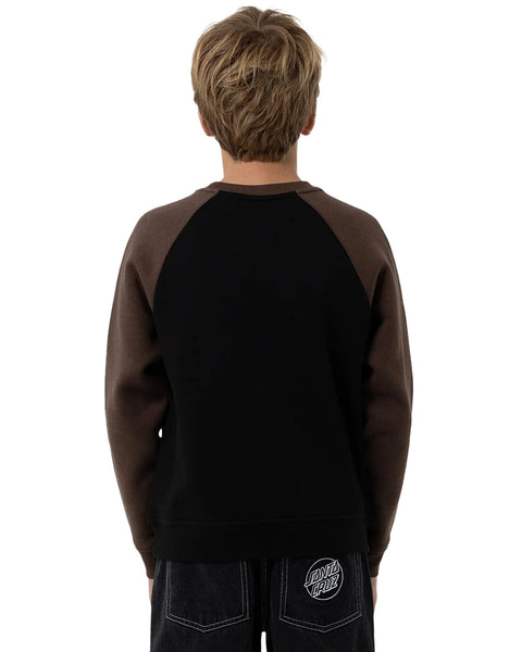 Santa Cruz Multi Cruz Stack Mono Front Boys Sweater - Brown – Point ...