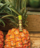 Sun Bum Lip Balm in Pineapple flavour close up view showing the open protective cap and smooth lip balm tip, sold by Point Break Cambridge local family surf shop at 63 Duke street.