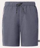 Oakley All Day Short - Uniform Grey