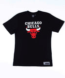 NBA Essentials Bulls NBA Team Arch Kids Tee - Black