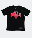 NBA Essentials Bulls NBA Team Arch Kids Tee - Black