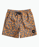 Quiksilver Everyday Mix Volley Youth 14NB - Thyme